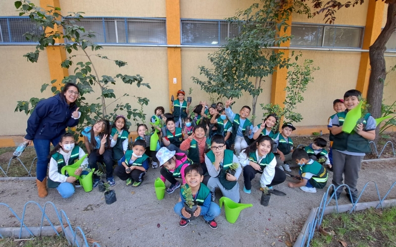 Brigada medioambiental Domingo Savio realizó plantación de árboles nativos en el colegio
