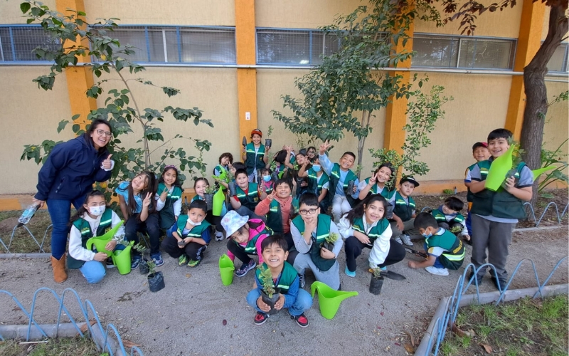 Colegio Domingo Savio Logra Certificación Ambiental de Excelencia: Compromiso con el Medio Ambiente en Acción